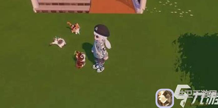 心动小镇捕虫攻略大曝光？今天所有技巧都是废话！