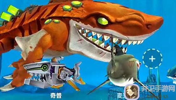 火环官方同人鲨鱼代扣攻略：解锁最强战力，轻松通关技巧大盘点！