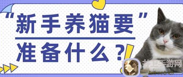 封神养猫攻略：100%掌握轻松养猫技巧，每天都有不一样的猫猫福利!