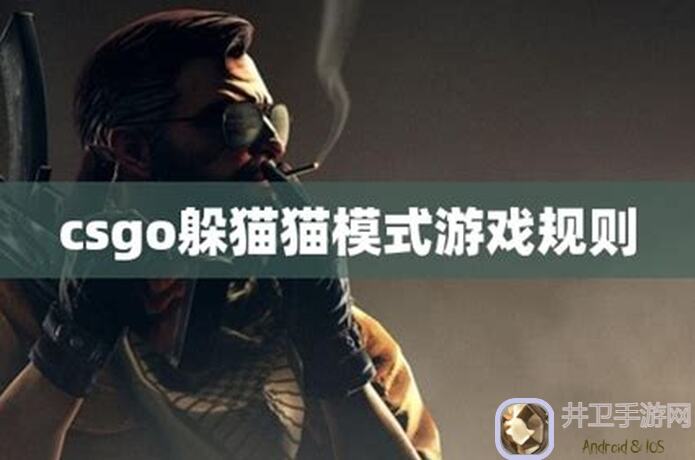 奇葩战斗家开房间模式躲猫猫规则建议大揭秘｜新手必备攻略，轻松上手秒变大神！