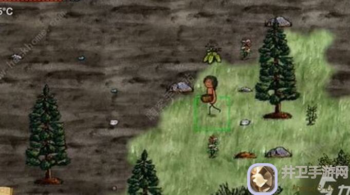 华夏人生熊皮机攻略全解：快速升级战力，体验畅游奇遇记！