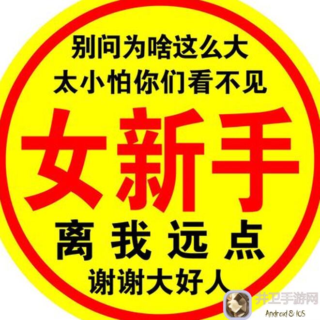 新手看过来！0氪党也能无双畅玩，萌将搭配值得一看的小小攻略心得